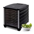 biochef-arizona-10t-black-kale-chips-1600x1600.jpg