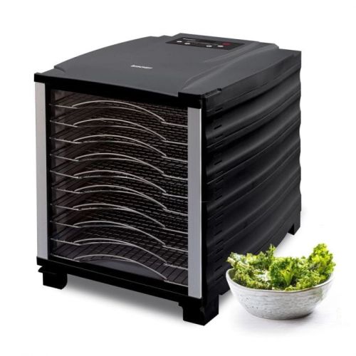 biochef-arizona-10t-black-kale-chips-1600x1600.jpg